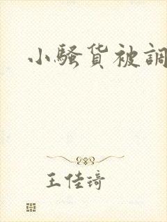 小骚货被调教