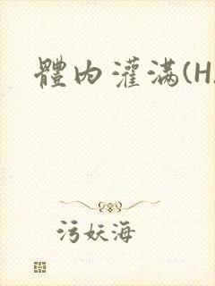 体内灌满(H)封面