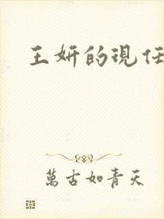 王妍的现任丈夫封面