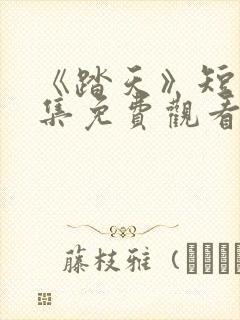 《踏天》短剧全集免费观看