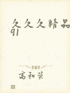 久久久精品久久91
