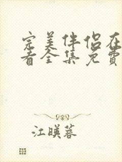 完美伴侣在线观看全集免费播放
