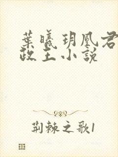 叶曦玥凰君夜摄政王小说