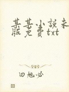 某某小说未删减版免费txt
