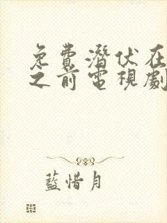 免费潜伏在黎明之前电视剧