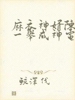 麻衣神婿陈黄皮一举成神电子书