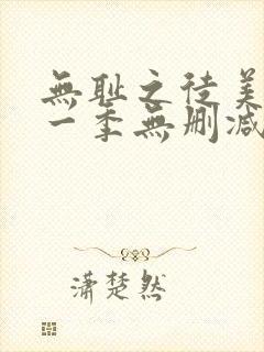 无耻之徒美版第一季无删减高清封面