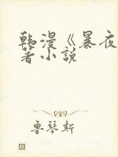 韩漫《暴夜》原著小说