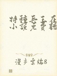 特种兵王在山村小说免费听