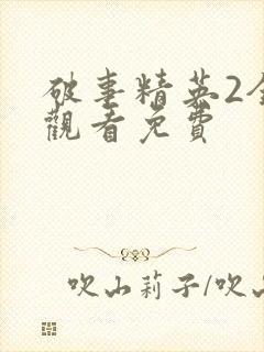 破事精英2全集观看免费封面