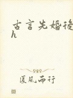 古言先婚后爱高h