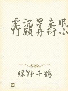 雾沉星未眠沈清竹顾舟衍小说