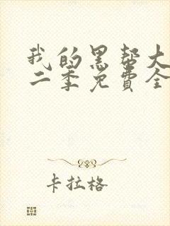 我的黑帮大佬第二季免费全集