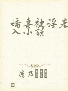 娇妻被淫老头进入小说