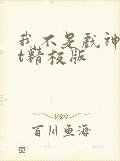 我不是戏神txt精校版封面