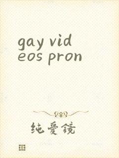 gay videos pron封面