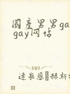 国产男男gay gay网站