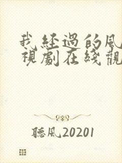 我经过的风暴电视剧在线观看10集封面