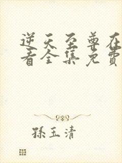 逆天至尊在线观看全集免费播放动漫封面
