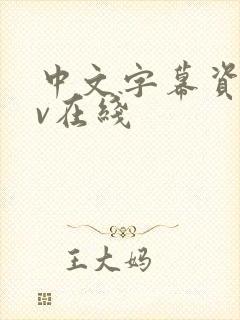 中文字幕资源av在线