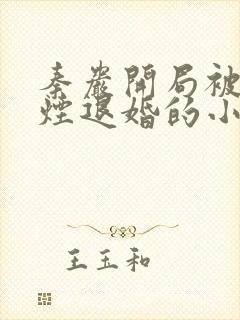 秦岩开局被柳如烟退婚的小说