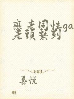 恋老同性gay老头系列封面