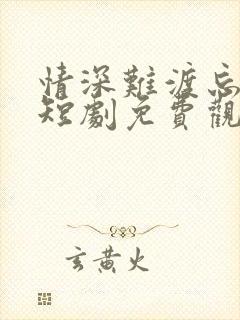 情深难渡忘归人短剧免费观看