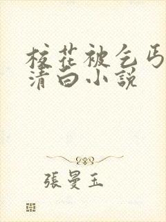 校花被乞丐毁了清白小说