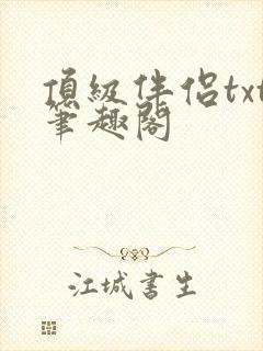 顶级伴侣txt笔趣阁