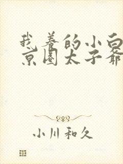 我养的小白脸是京圈太子爷小说