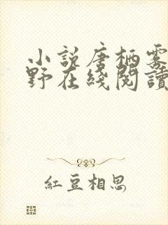 小说唐栖雾靳沉野在线阅读