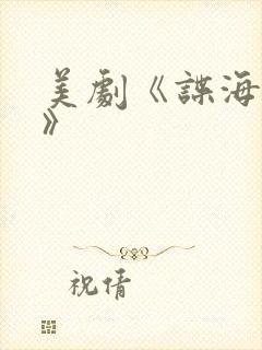 美剧《谍海浮沉》