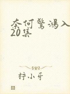 奈何惊鸿入我心20集