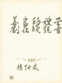 善良的嫂子2韩剧在线观看封面