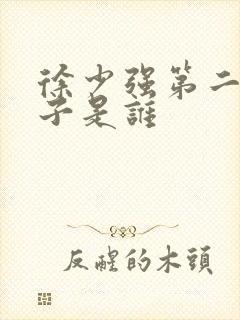 徐少强第二任妻子是谁