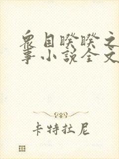 众目睽睽之下的事小说全文免费阅读