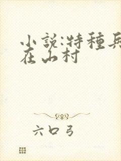 小说:特种兵王在山村