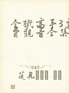 全职高手3季免费观看全集动漫封面