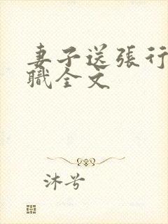 妻子送张行长升职全文