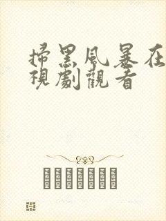 扫黑风暴在线电视剧观看