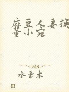麻豆人妻换人妻董小宛