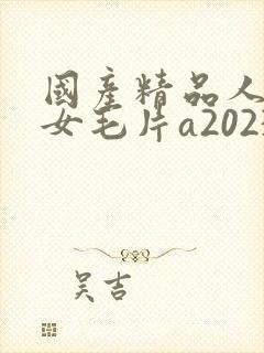 国产精品人妻熟女毛片a2023