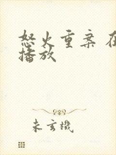 怒火重案 在线播放