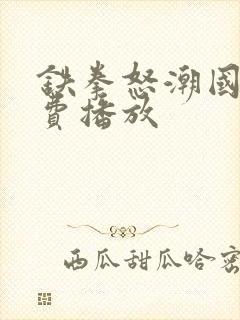 铁拳怒潮国语免费播放