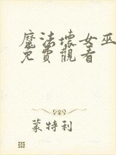 魔法坏女巫高清免费观看封面