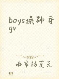boys操帅哥gv