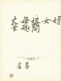 丈母娘女婿小说笔趣阁