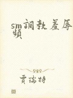 sm调教羞辱视频