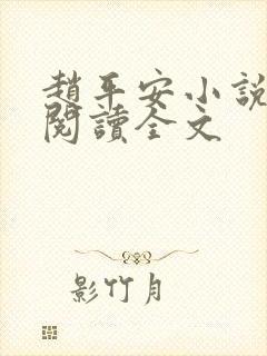 赵平安小说免费阅读全文