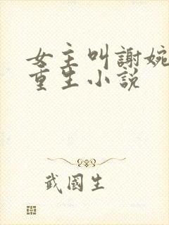 女主叫谢婉宁的重生小说